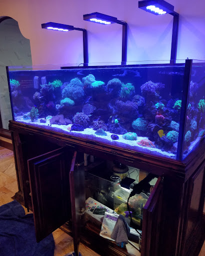 Pet Store «Tanks A Lot Aquariums», reviews and photos, 6680 Lantana Rd, Lake Worth, FL 33467, USA