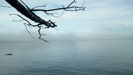 State Park «Dash Point State Park», reviews and photos, 5700 SW Dash Point Rd, Federal Way, WA 98023, USA