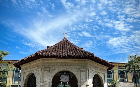 Magellan's Cross image