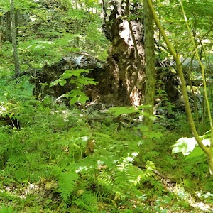 Gods Acre - photo 13