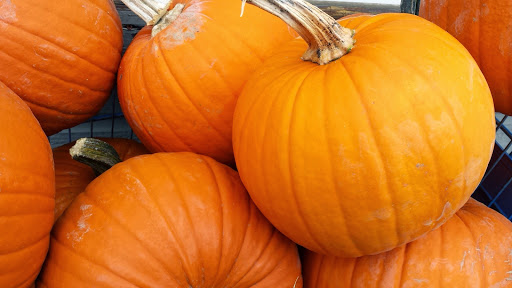 Grocery Store «Manzanita Market: The Little Apple», reviews and photos, 193 Laneda Ave, Manzanita, OR 97130, USA