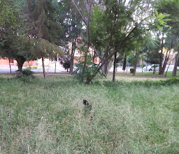 Parque lomas de zapopan photo