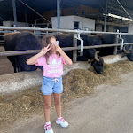 Photo n°2 de l'avis de Pedro.a fait le 16/09/2022 à 18:08 sur le  Vannulo mozzarelle à Capaccio Scalo