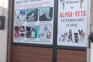 Alpha Vets Veterinary Clinic - Best Dog Doctor in Nabha, Best Veterinary Doctor Near Me, Dog Ultrasound Clinic in Nabha image