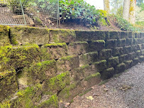 DIAMOND YARD SERVICE - Photo 7 - Car repair in , Eugene