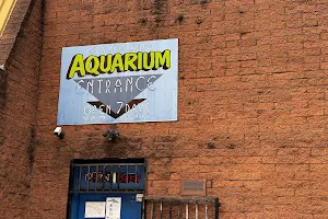 Aquariums At Cranbourne image