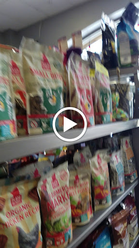 Pet Store «Rock Dog and Cat», reviews and photos, 1916 Colorado Blvd, Los Angeles, CA 90041, USA