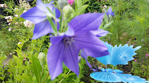 Towing Service «Abel Towing Wrecker & Auto Service», reviews and photos, 1717 Belvidere St, Waukegan, IL 60085, USA