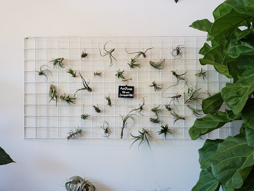 Florist «Fleur de Lis Fresh Flowers», reviews and photos, 516 Selby Ave, St Paul, MN 55102, USA