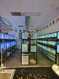 Pet Village - Photo 2 - Car repair in Duncanville, TX, Dallas