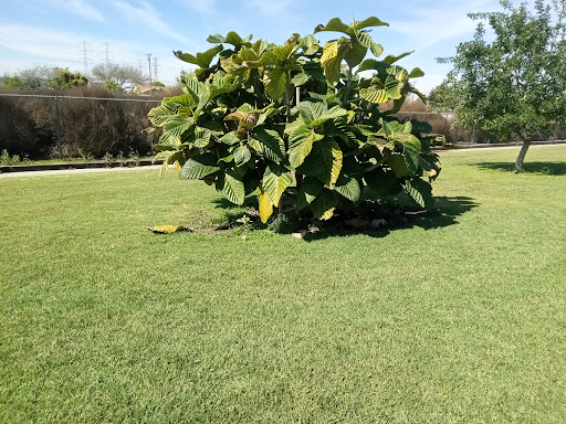 Park «Liberty Park and Fitness Center», reviews and photos, 19211 Studebaker Rd, Cerritos, CA 90703, USA