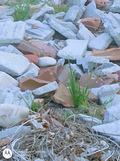 Department Store «Walmart Supercenter», reviews and photos, 99 W 1280 N, Tooele, UT 84074, USA