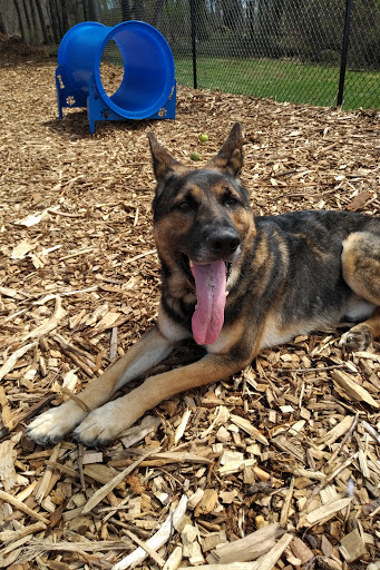 Pet Store «Westwood Pets Unlimited», reviews and photos, 15 Westwood Ave, Westwood, NJ 07675, USA