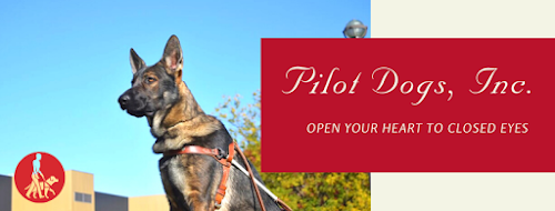  alt='Pilot Dogs has the best of everything: top notch trainers, caring employees, and a 1st rate program to assist the visually'