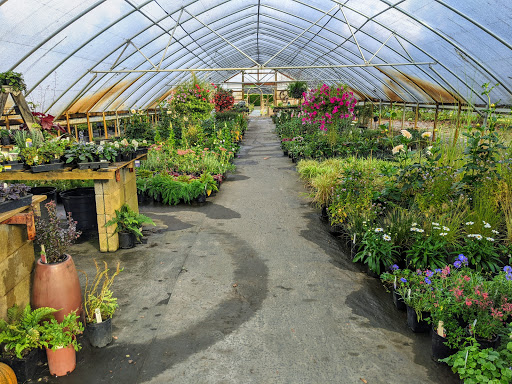 Plant Nursery «Pine Creek Nursery», reviews and photos, 23225 Sofie Rd, Monroe, WA 98272, USA