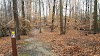 Bunker Hill Trails