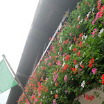 Photo n°1 de l'avis de silvano.i fait le 04/08/2023 à 18:14 sur le  Hotel Panorama à Cavalese