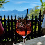 Photo n°2 de l'avis de Fabrice.r fait le 09/07/2022 à 17:35 sur le  Saxifraga à Tirol