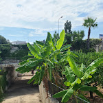 Photo n°6 de l'avis de I.i fait le 19/08/2020 à 11:13 sur le  Villa degli Aranci à Polignano a Mare