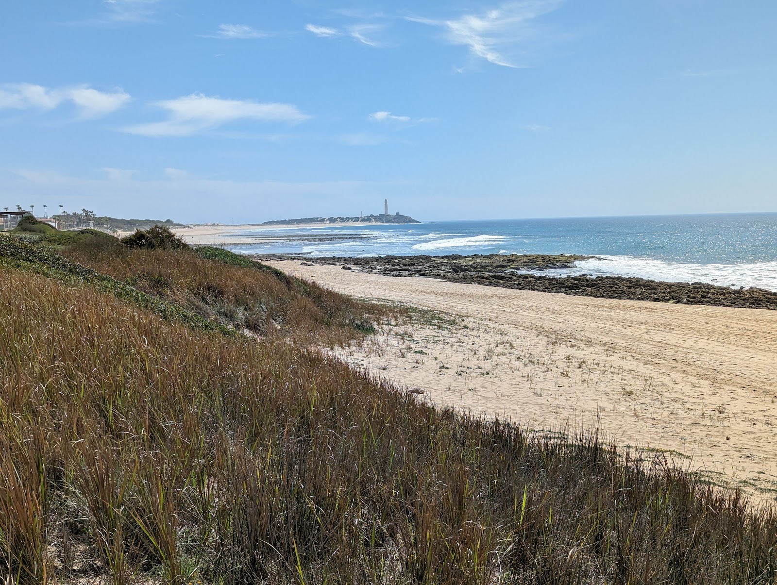 Playa Mangueta photo #9