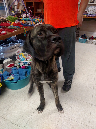 Pet Supply Store «Alpha-Dog Pet Centers, L.L.C.», reviews and photos, 46370 Middle Ridge Rd, Amherst, OH 44001, USA