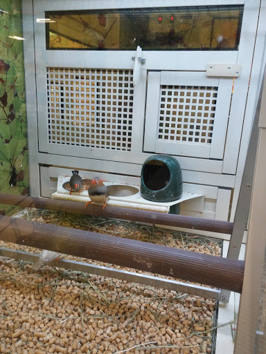 Pet Supply Store «PetSmart», reviews and photos, 263 Midway Blvd, Elyria, OH 44035, USA