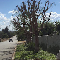 Danny's Landscaping - Photo 7 - Car repair in , Riverside