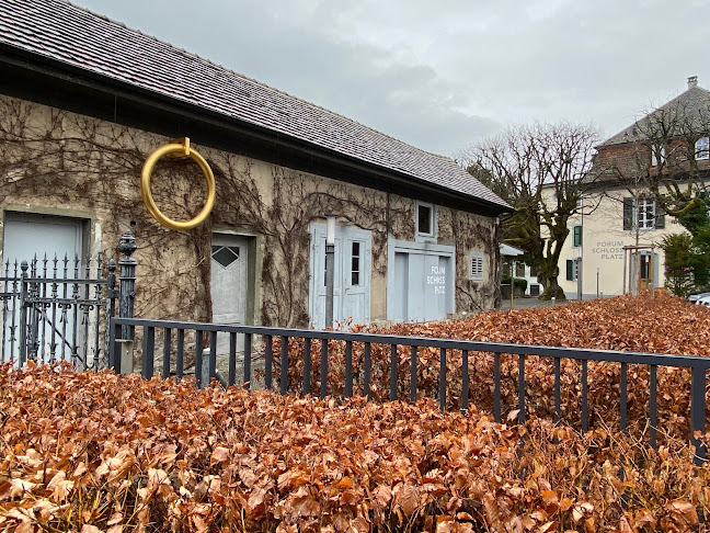 Rezensionen über Forum Schlossplatz in Aarau - Museum