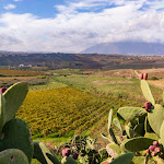 Photo n°20 de l'avis de T..l fait le 27/11/2023 à 21:29 sur le  Case Playa Resort à Partinico