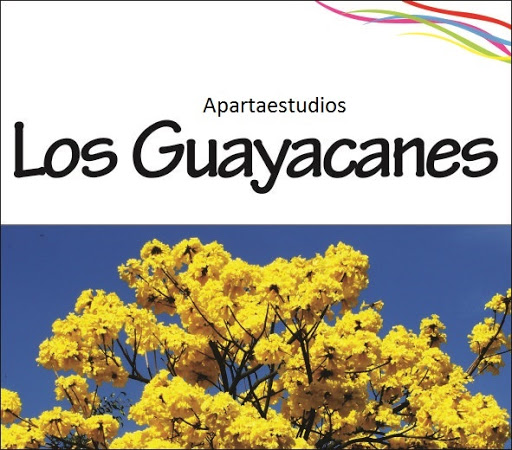 Apartaestudios Los Guayacanes