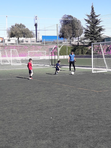 Opiniones de Futball7 en Rancagua - Campo de fútbol