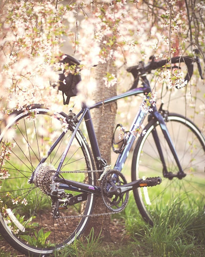 Bicycle Store «Montgomery Cyclery West Chester», reviews and photos, 8975 Cincinnati Columbus Rd, West Chester Township, OH 45069, USA