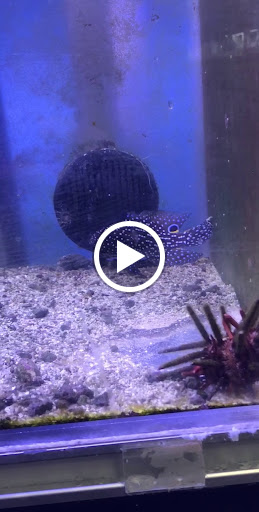 Pet Store «Animart», reviews and photos, 4303 E Towne Way, Madison, WI 53704, USA