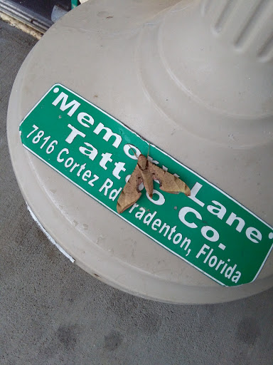 Find best back tattoo ideas for your next unique tattoo in Bradenton at Memory Lane Tattoo Co.