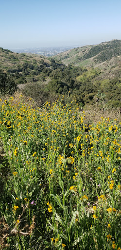 Hiking Area «Whittier Turnbull Canyon Hiking Trail», reviews and photos, Turnbull Canyon Rd, Whittier, CA 90601, USA