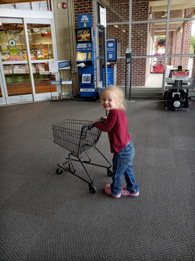 Grocery Store «Food Lion», reviews and photos, 59 Main Street #100, Dawsonville, GA 30534, USA