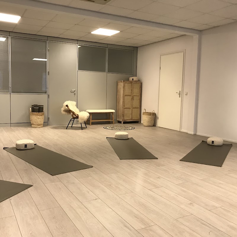 Yoga, oefentherapie, zwangerschapscursus in Lemmer