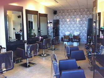 Sandra's Hair Studio