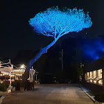 Photo n°1 de l'avis de jean-paul.e fait le 12/08/2019 à 20:58 sur le  Gibas à Pesaro