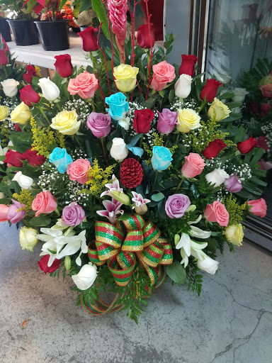 Florist «Floreria Alcatraz», reviews and photos, 159 Aldine Bender Rd #174, Houston, TX 77060, USA