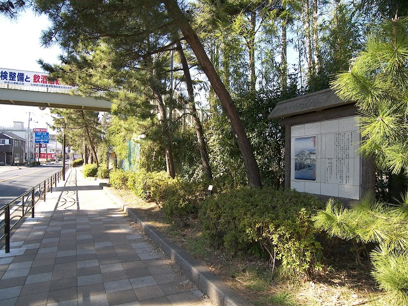 東海道の松並木