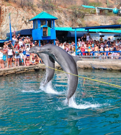 Acuario Rodadero Santa Marta