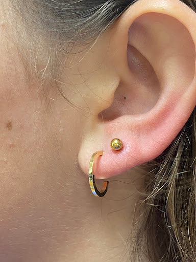 Explore fantastic mr fox tattoo ideas, creative tattoo ideas in Dripping Springs, available at Brow Sugar - Permanent Makeup and Piercing Studio