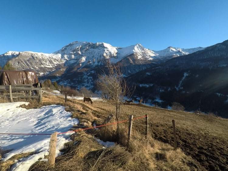 Photo n° 18 de l'avis de Florence.a fait le 18/01/2022 à 17:14