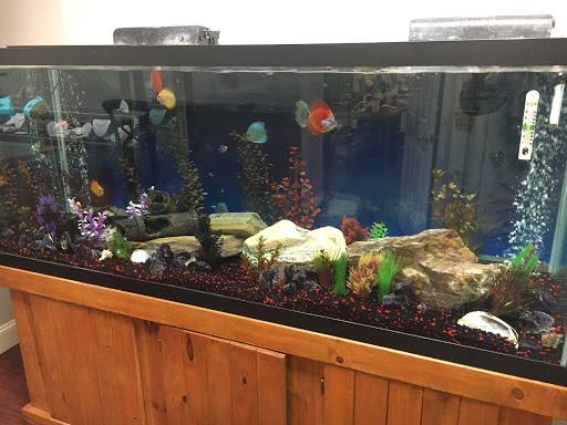 Jeweler «Joseph Janvier Jewelers», reviews and photos, 1310 Kirkwood Hwy, Wilmington, DE 19805, USA