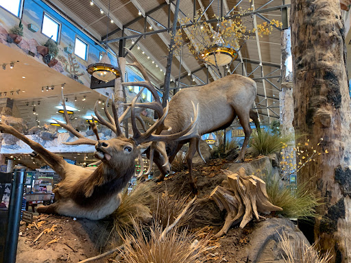 Sporting Goods Store «Bass Pro Shops», reviews and photos, 8200 Dean Martin Dr, Las Vegas, NV 89139, USA
