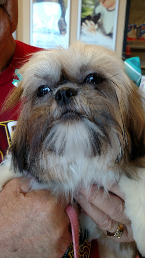 Pet Supply Store «PetSmart», reviews and photos, 640 W 300 N, Warsaw, IN 46582, USA