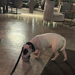 Photo n°6 de l'avis de Hans.a fait le 25/04/2024 à 16:41 sur le  Quellenhof Luxury Resort Lazise à Lazise