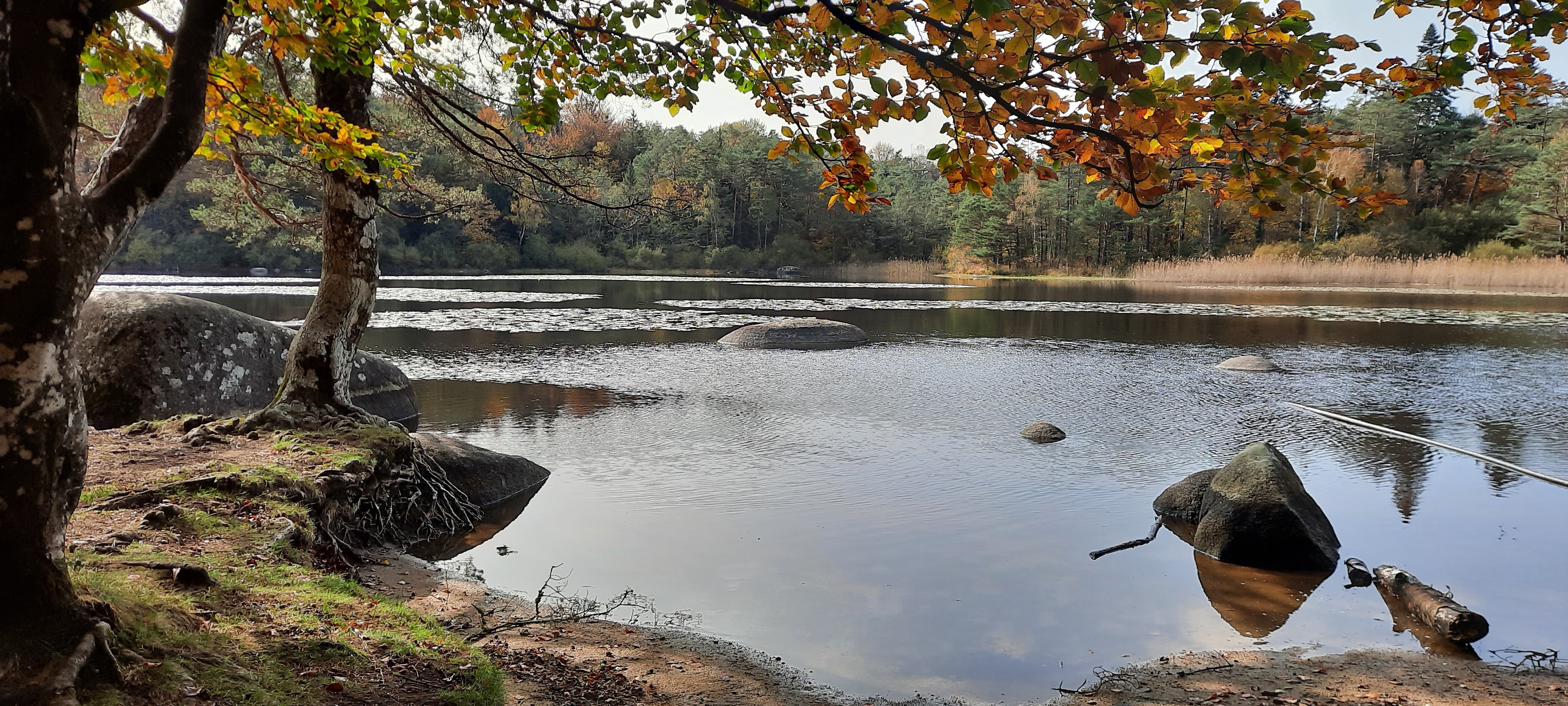 Photo n° 8 de l'avis de Laurence.a fait le 25/10/2020 à 15:55