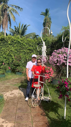 Top 20 cửa hàng cây kiểng Thành phố Phan Thiết Bình Thuận 2022